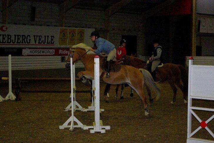 Haflinger Adima - Prinsessen - (14) Prinsessen og jeg spring undervisning med Peter (: Foto: Line billede 14