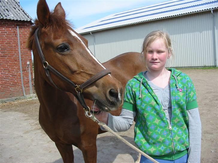 Anden særlig race Little Girl      R.I.P billede 6