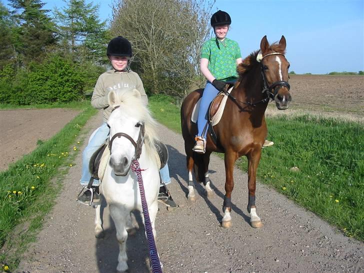 Anden særlig race Little Girl      R.I.P billede 8