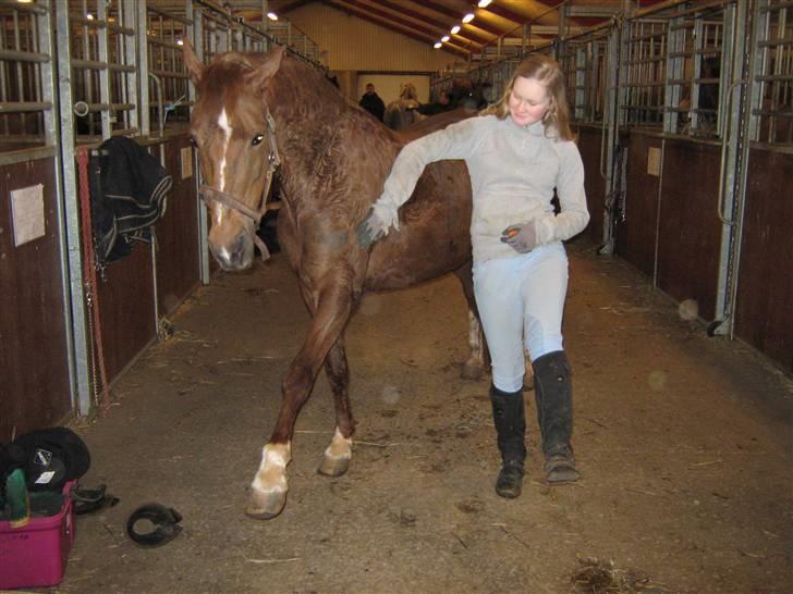 Anden særlig race Little Girl      R.I.P billede 9