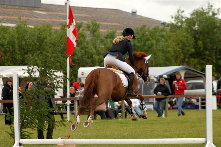 Hollandsk Sportspony | Remy - Sydjysk i Guldager 2010, over vandet :-) billede 5