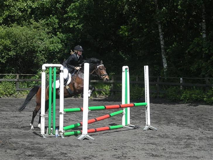 New Forest Fleur(L - I en LC på lundtofte som vi vandt :) Taget af Frej <3 taak :) billede 18