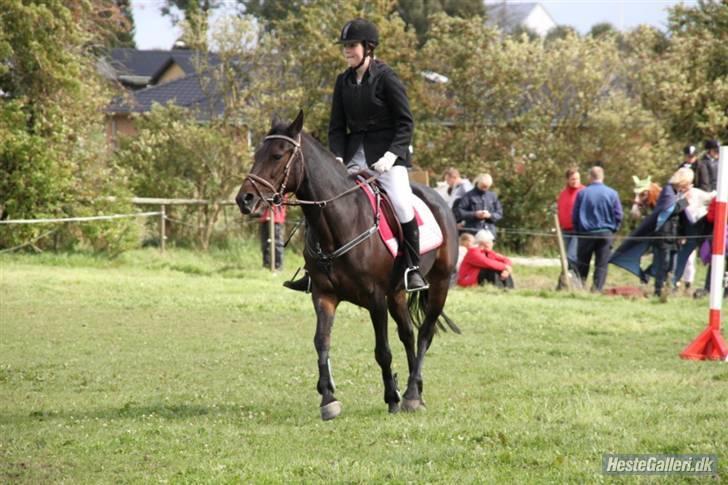 Traver Fame <3 Solgt. billede 3