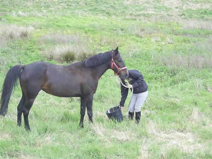 Traver Fame <3 Solgt. billede 4