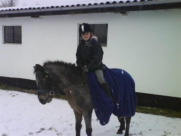 Amerikansk Pony springer SMOKY - 12) mig og smoky ude i sneen:)<33 billede 12