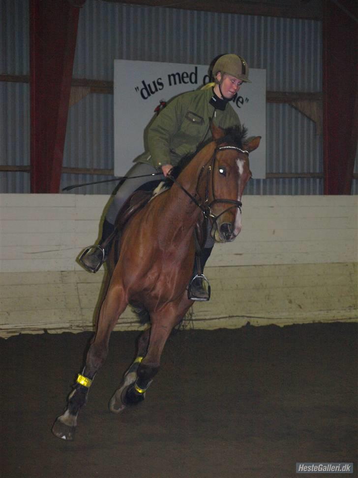 Holstener Little Life  billede 16