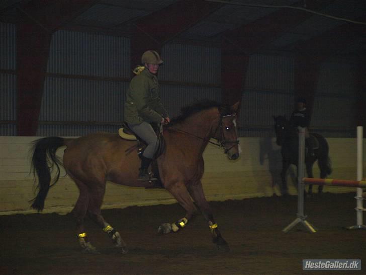 Holstener Little Life  - Lille Fine Leif billede 18