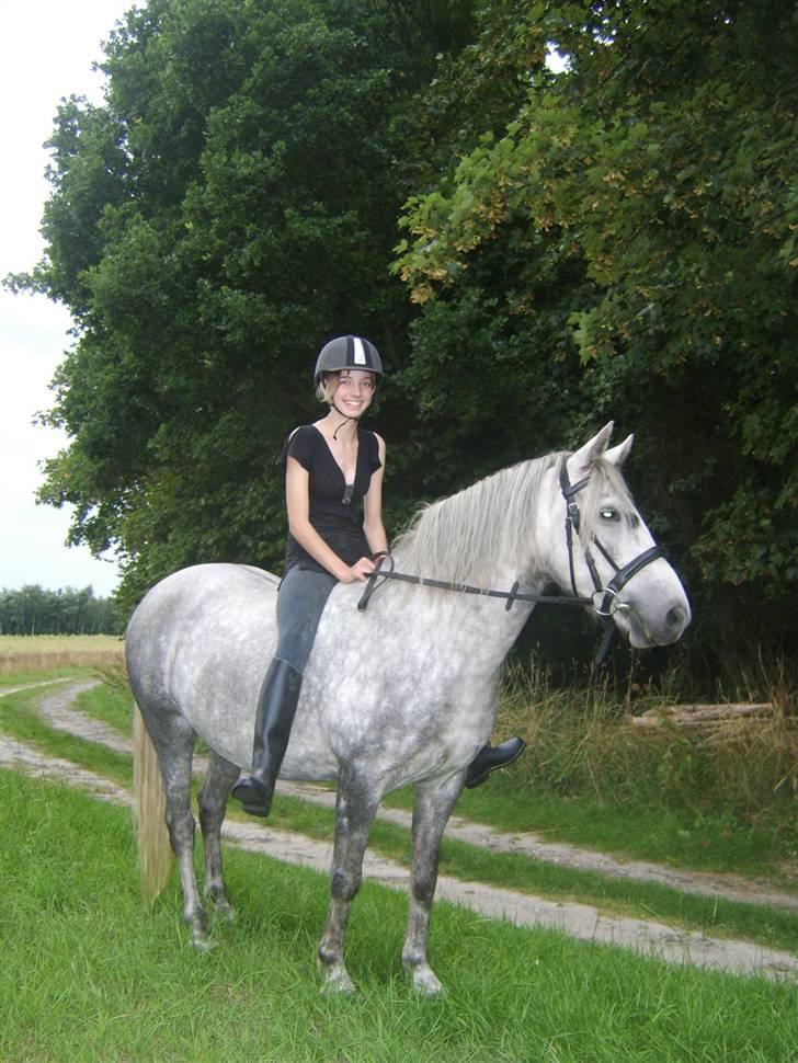 Anden særlig race Sussi billede 10