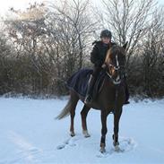 Anden særlig race Donjuan