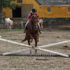 Anden særlig race |Sigurd| GL. Part..