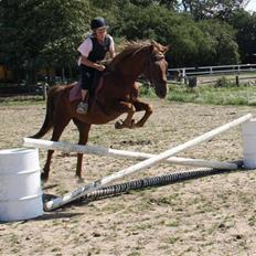 Anden særlig race |Sigurd| GL. Part..