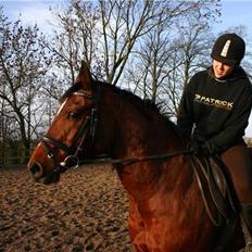 Anden særlig race Chivas *part*