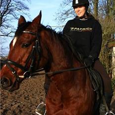 Anden særlig race Chivas *part*