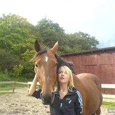 Anden særlig race Shorty