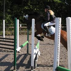 New Forest Ørholm's Parcifal (Part)