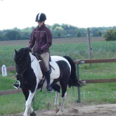 Pinto Fast Spirit -Solgt-