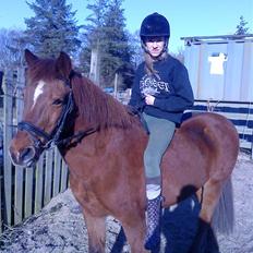 Anden særlig race Saga