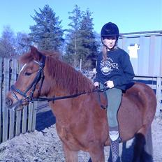 Anden særlig race Saga