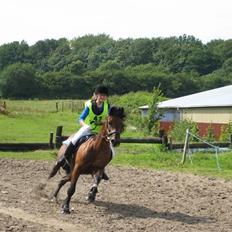 Connemara Hesselholts Lorenzo