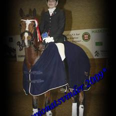 Welsh Partbred (Sec F) Coelenhage's Reza RSDH