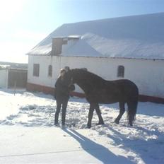 Frieser Kashmir Toustrup