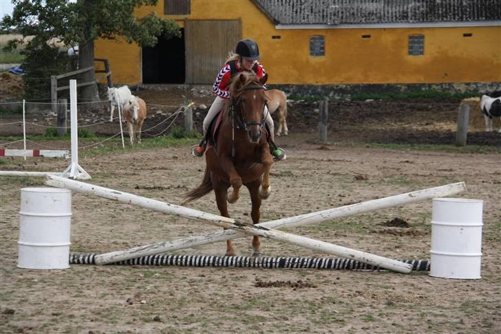 Anden særlig race |Sigurd| GL. Part.. - 2# 4 gang vi springer :D<3 Foto: sasha. billede 2