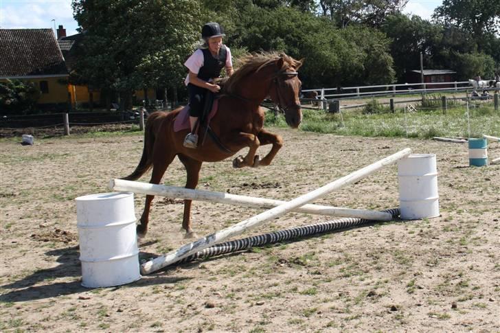 Anden særlig race |Sigurd| GL. Part.. - 3# 3 gang vi springer :)<3 er stolt ! :* foto: signe :)<3 billede 3