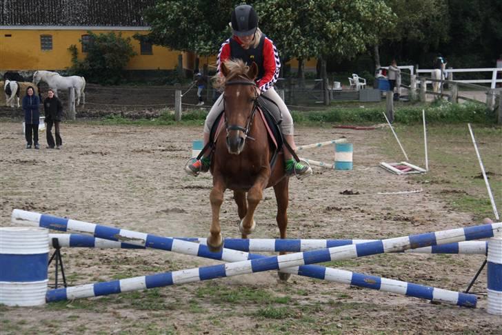 Anden særlig race |Sigurd| GL. Part.. - 8# 4 gang vi springer<3   foto: sasha billede 8