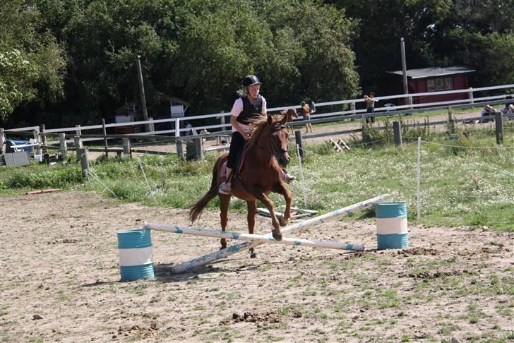 Anden særlig race |Sigurd| GL. Part.. - 10# 3 gang vi springer :)<3 er stolt ! :* foto: signe :)<3 billede 10