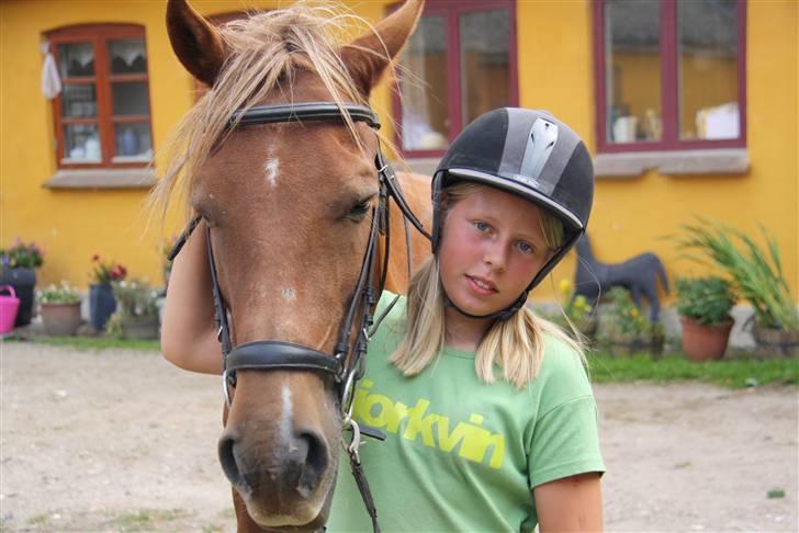 Anden særlig race |Sigurd| GL. Part.. - 11# vi hygger<3  Foto: annette billede 11