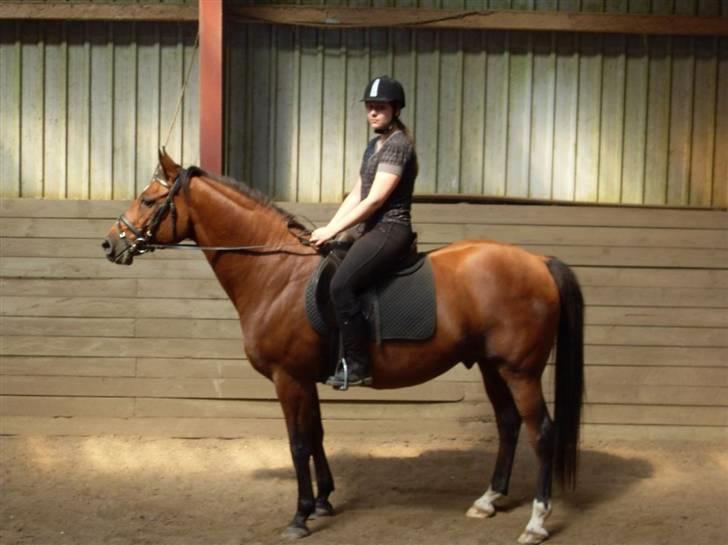 Anden særlig race Chivas *part* - *blærerøv:P* billede 4