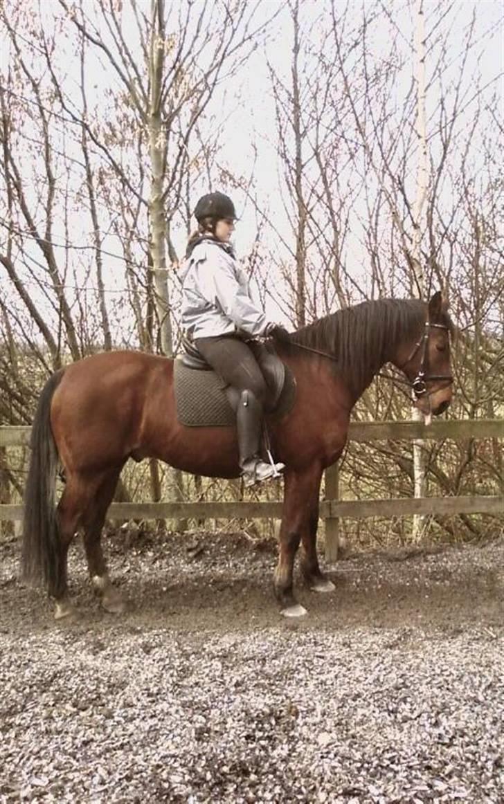 Anden særlig race Chivas *part* - Nyeste billede.Så rækker vi tunge :P og vi er møgbeskidte billede 5