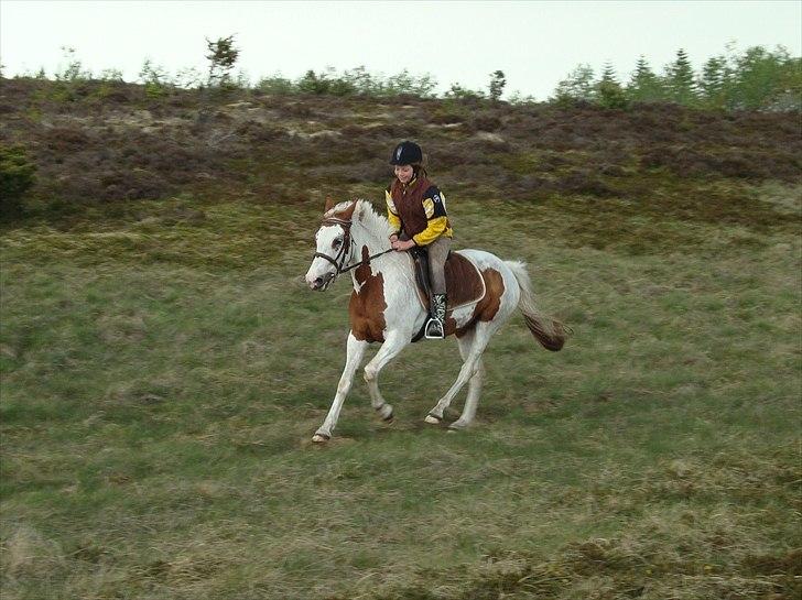 Pinto Nikita  - tak fordi i kigede:D billede 10