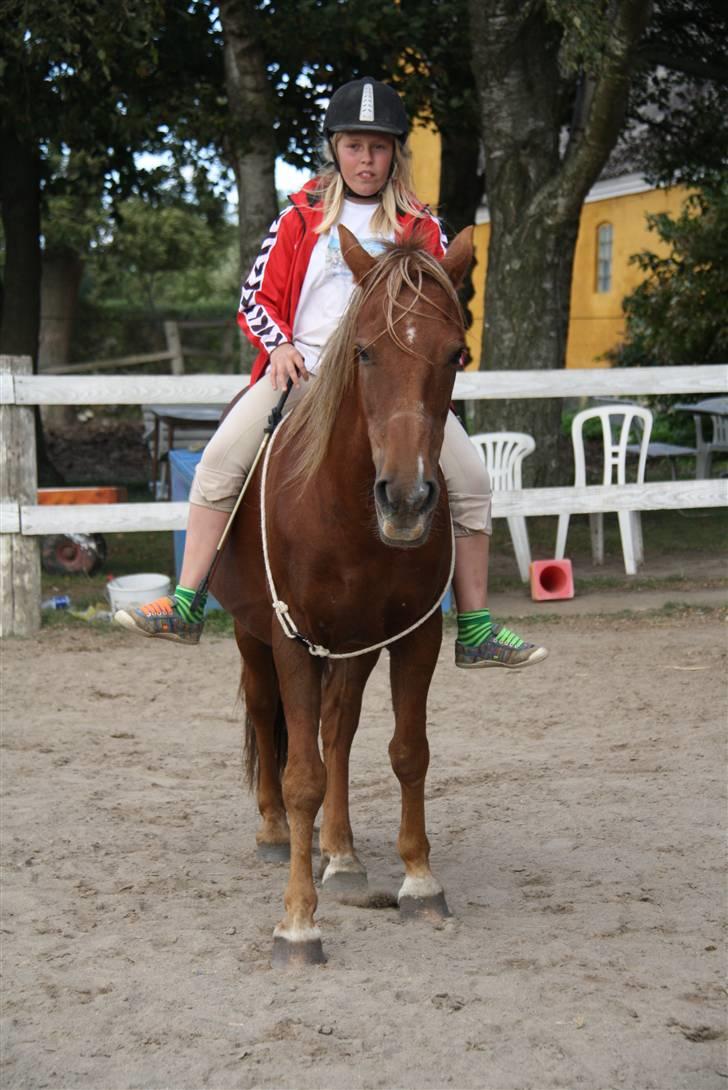 Anden særlig race |Sigurd| GL. Part.. - 14# i cordeo (staves)<3 Foto: michala<3 billede 14