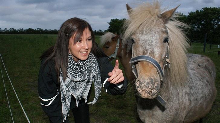 Anden særlig race Figaro - Dejlige charmetrold. - D. 18-06-2010. billede 19