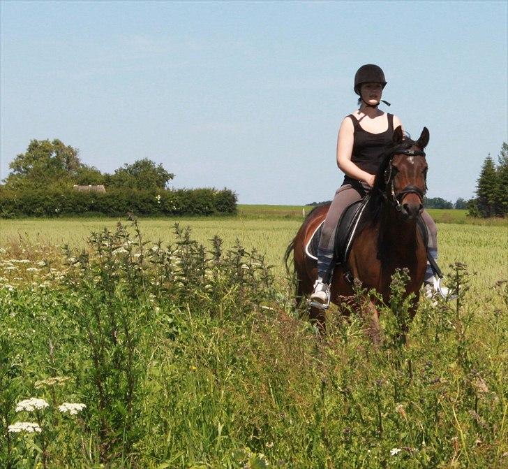 Arabisk fuldblod (OX) Darkan - Josefine og Darkan på tur  billede 19