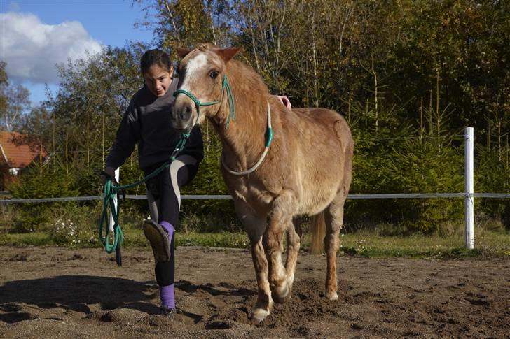Anden særlig race Trixtan <3 mitet&alt - #4 Trixtan jeg elsker dig af hele mit hjerte og mere til :´* Foto: Eva eller Carl-otto 18/10 09 billede 4