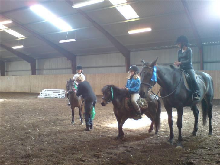 Anden særlig race sunflower - mig og sunflower til præmie over rakelse ... vandt en 3. palds .. billede 5