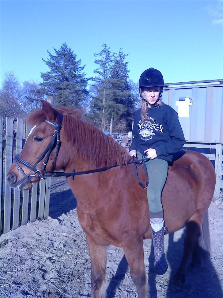 Anden særlig race Saga - Saga<3 billede 2