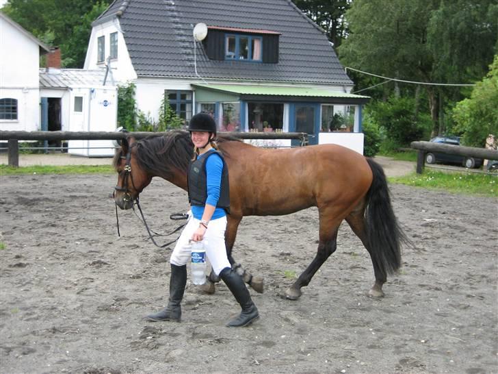 Connemara Hesselholts Lorenzo billede 2