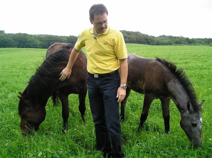 Connemara Hesselholts Lorenzo billede 3