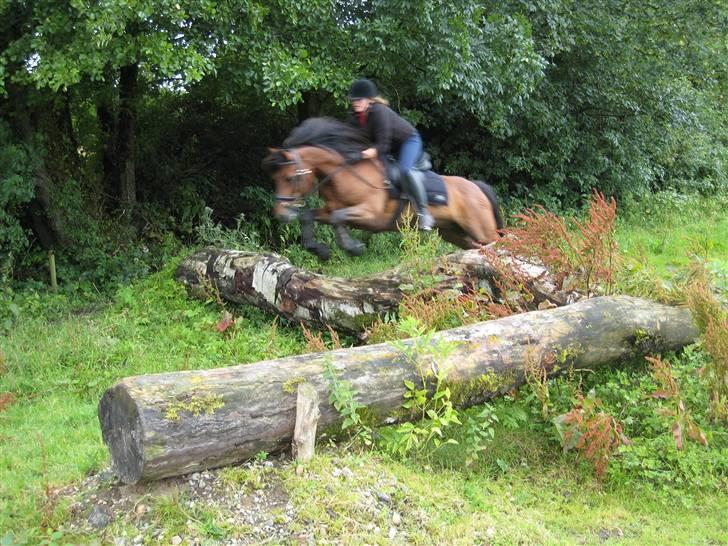 Connemara Hesselholts Lorenzo billede 4