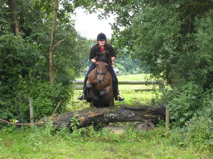 Connemara Hesselholts Lorenzo billede 7