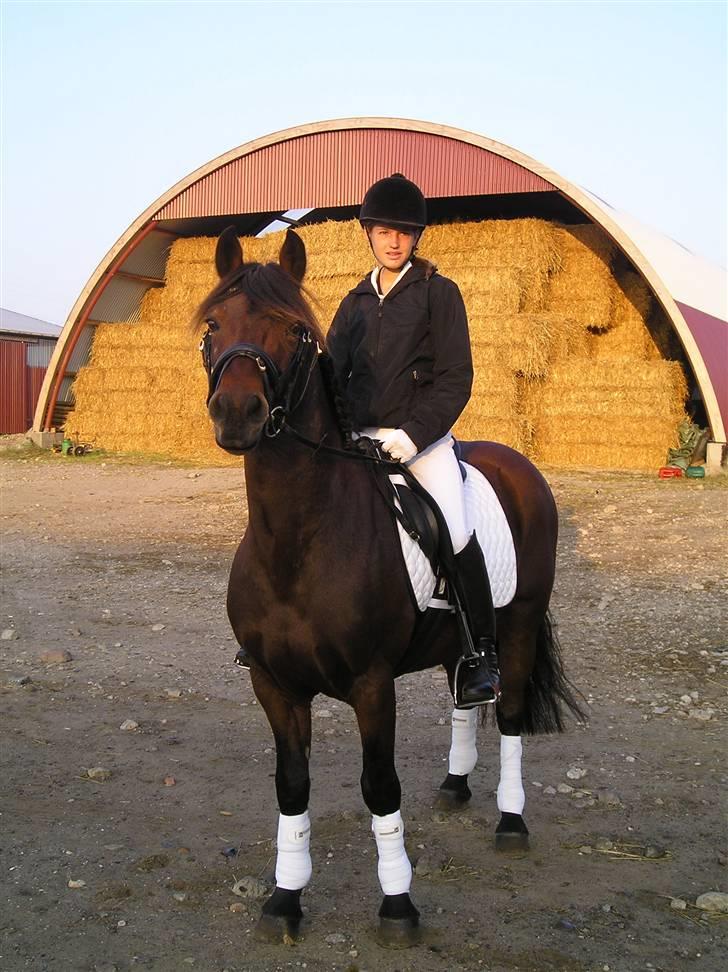 Connemara Hesselholts Lorenzo billede 9