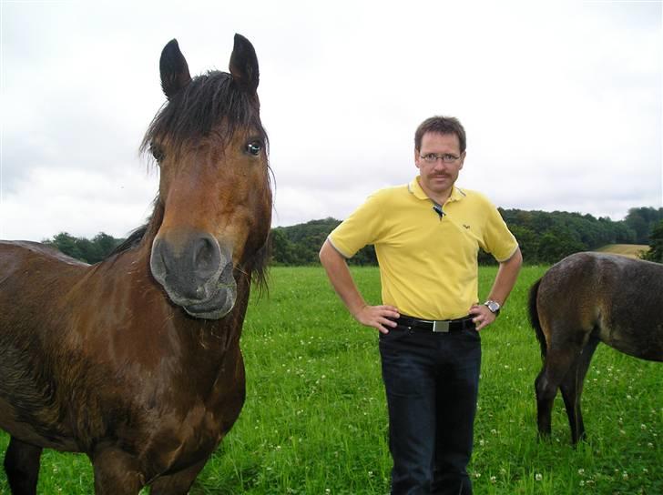 Connemara Hesselholts Lorenzo billede 10