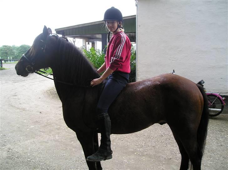 Connemara Hesselholts Lorenzo billede 12