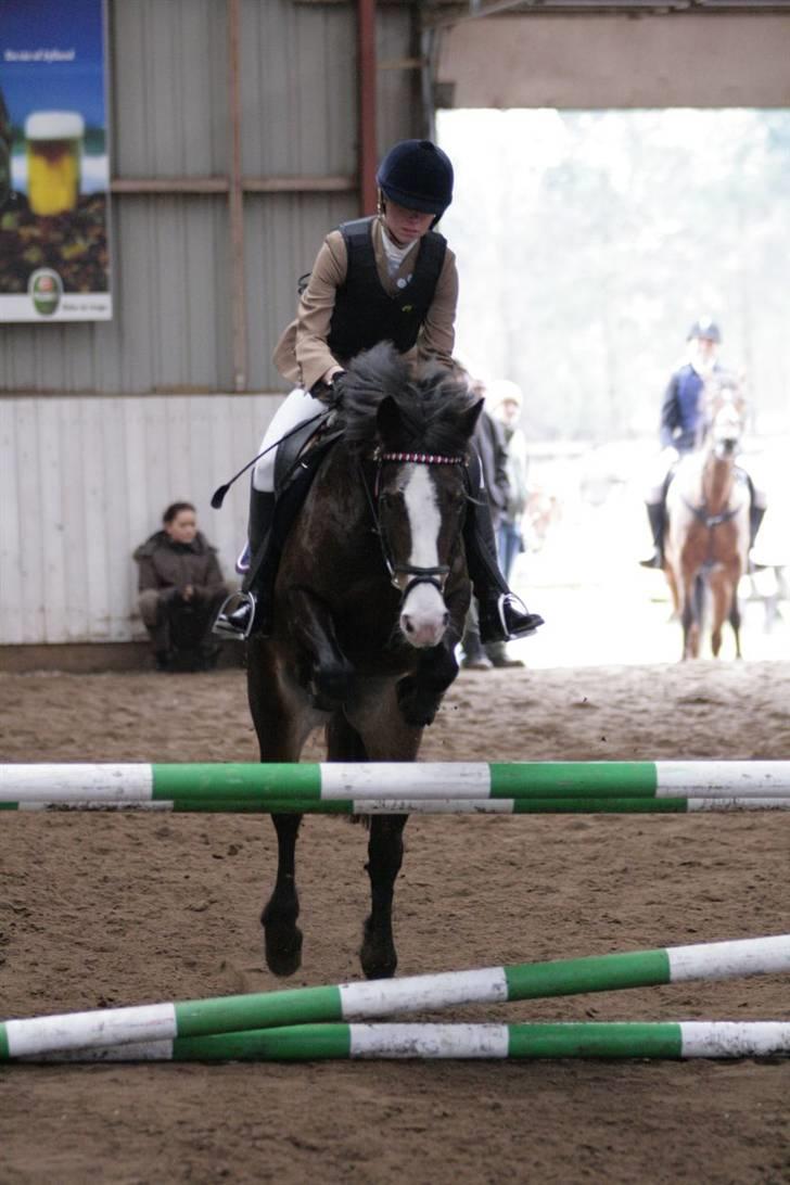 Hollandsk Sportspony Mandy <3 R.I.P 11/07/2010 - Stevnstrup - LC - fordi du er for blær<3 Foto: Malene Markmann aka Strømpen :D billede 8