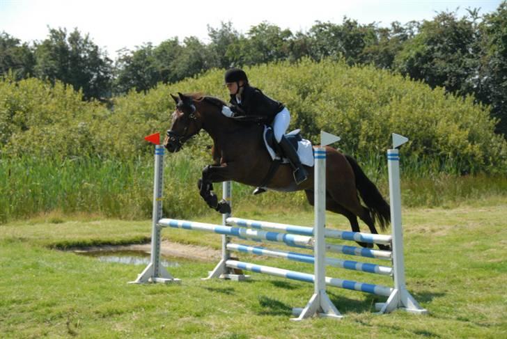 Connemara Hesselholts Lorenzo billede 13