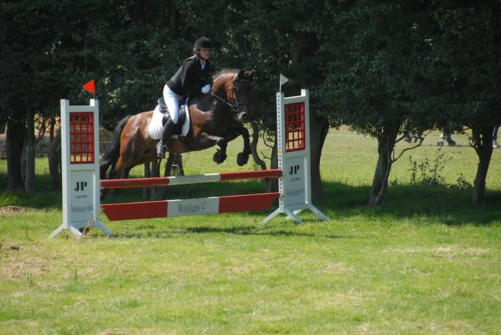 Connemara Hesselholts Lorenzo billede 14