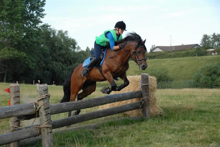 Connemara Hesselholts Lorenzo billede 15